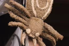 FDJ-2025-construction-26