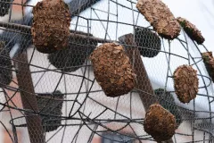 FDJ-2025-test-chars-7