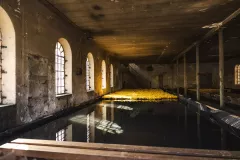 FDJ-2025-cueillette-107