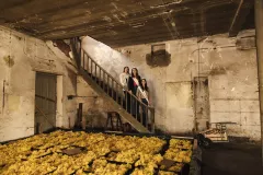 FDJ-2025-cueillette-117