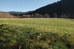 FDJ-2025-cueillette-128