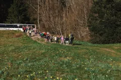 FDJ-2025-cueillette-131