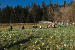 FDJ-2025-cueillette-132