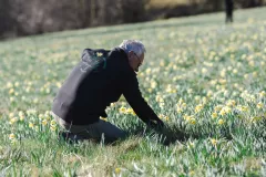 FDJ-2025-cueillette-173