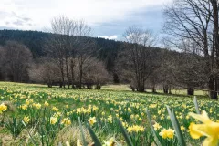 FDJ-2025-cueillette-3